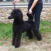 foire-haricots 2011-09-17et18